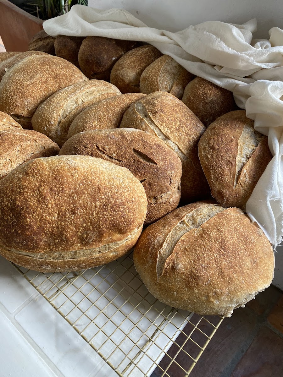 Brot Monik
