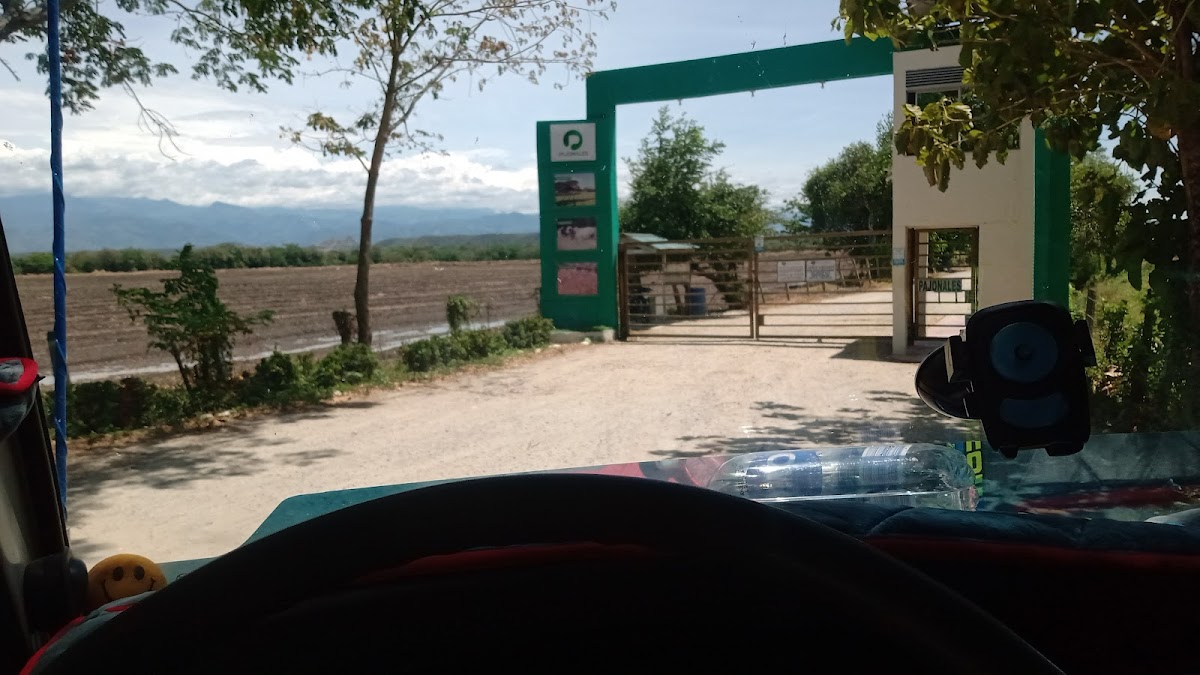 Hacienda Pajonales